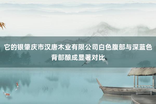 它的银肇庆市汉唐木业有限公司白色腹部与深蓝色背部酿成显著对比